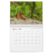 Anoles 2016 - An Anole Annals Production Kalender (Feb 2026)