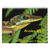 Anoles 2016 - An Anole Annals Production Kalender (Hoes)