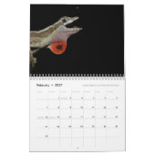 Anoles 2017 - An Anole Annals Production Kalender (Feb 2027)