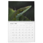 Anoles 2017 - An Anole Annals Production Kalender (Jan 2027)
