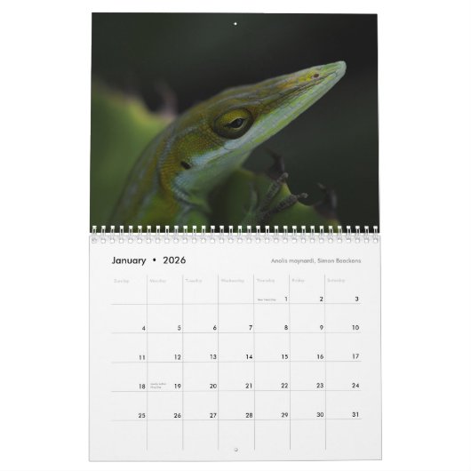 Anoles 2017 - An Anole Annals Production Kalender (Jan 2026)