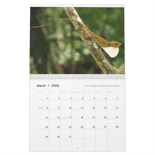Anoles 2017 - An Anole Annals Production Kalender (Mar 2026)