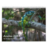 Anoles 2017 - An Anole Annals Production Kalender (Hoes)