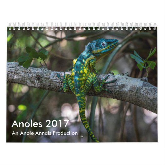 Anoles 2017 - An Anole Annals Production Kalender (Hoes)