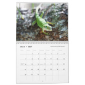 Anoles 2018 - An Anole Annals Production Kalender (Mar 2027)