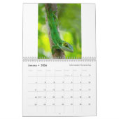 Anoles 2018 - An Anole Annals Production Kalender (Jan 2026)