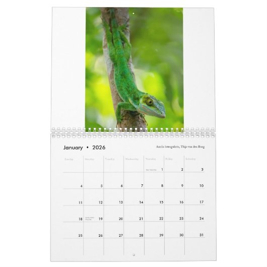 Anoles 2018 - An Anole Annals Production Kalender (Jan 2026)