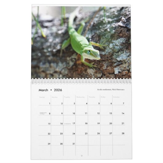 Anoles 2018 - An Anole Annals Production Kalender (Mar 2026)