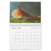 Anoles 2018 - An Anole Annals Production Kalender (Feb 2026)
