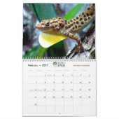 Anoles 2020 - een anole Annals Production Kalender (Feb 2027)