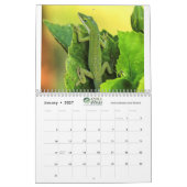 Anoles 2020 - een anole Annals Production Kalender (Jan 2027)