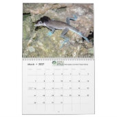 Anoles 2020 - een anole Annals Production Kalender (Mar 2027)