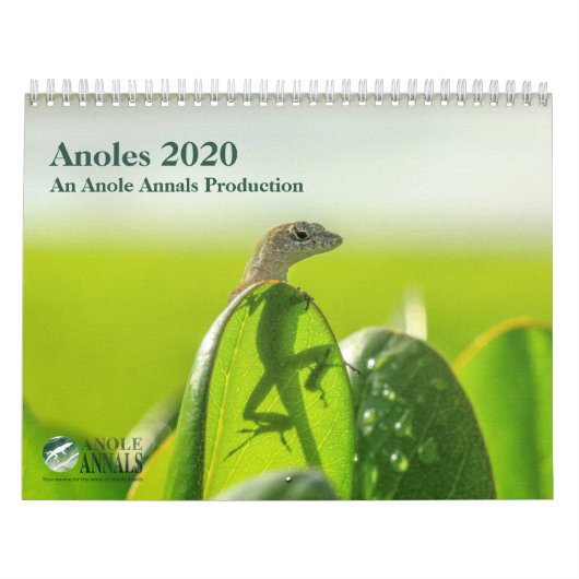 Anoles 2020 - een anole Annals Production Kalender (Hoes)
