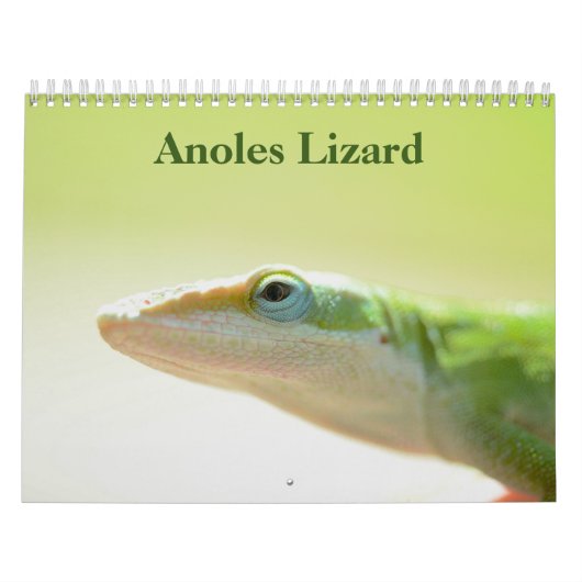 Anoles Lizard Kalender 2025 (Hoes)