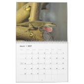 Anoles Lizard Kalender 2025 (Mar 2027)