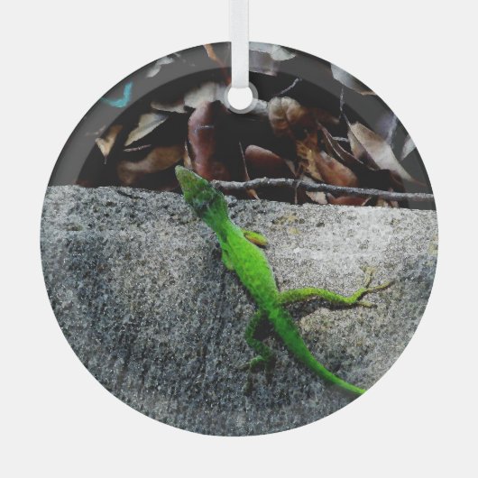 Anolis-hagedis 6704 glas ornament (Voorkant)