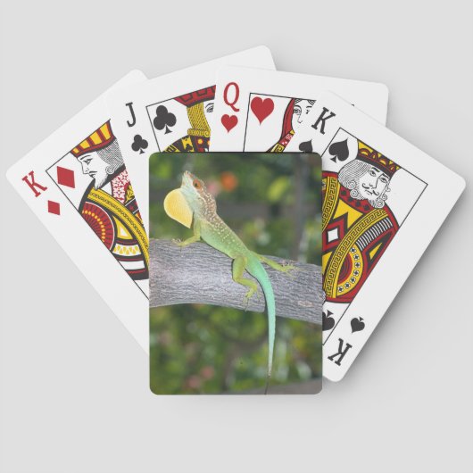 Anolis lividus speelkaarten (Achterkant)