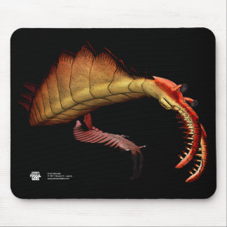Anomalocaris Mousepad Muismat
