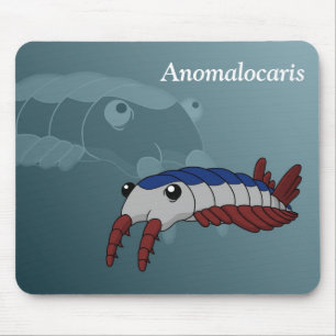 Anomalocaris - prehistorisch dier muismat
