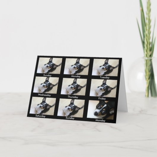 Anonieme Alcoholisten: "Blijf terugkomen..." Kaart (Voorkant)