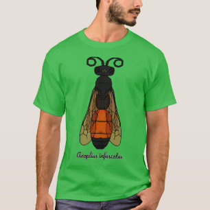 Anoplius infuscatus t-shirt