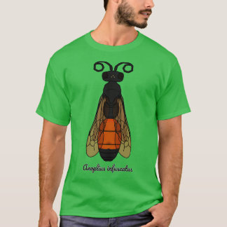 Anoplius infuscatus t-shirt