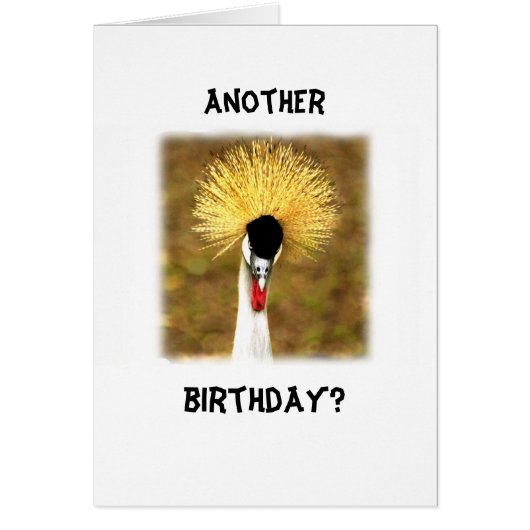 Another Birthday? Card for Senior Citizen (Voorkant)