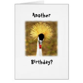 Another Birthday? Wow! Card for Senior Citizen (Voorkant)