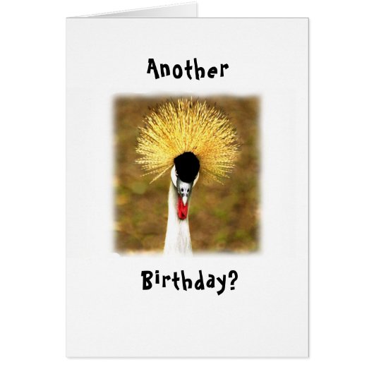 Another Birthday? Wow! Card for Senior Citizen (Voorkant)