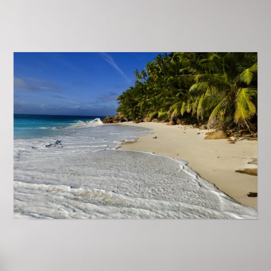 Anse Victorin Beach 2 Poster (Voorkant)