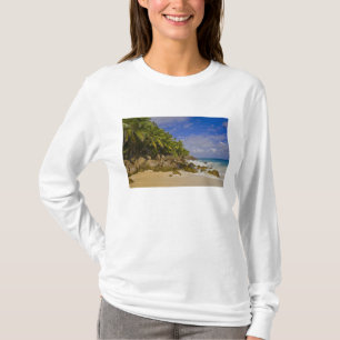 Anse Victorin Strand 4 T-shirt