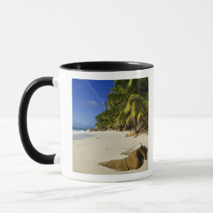 Anse Victorin-strand Mok