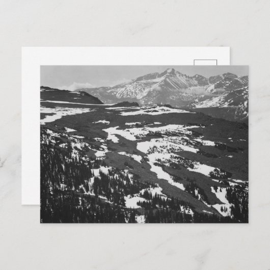 Ansel Adams - Long's Peak Rocky Mountain Briefkaart (Voorkant / Achterkant)