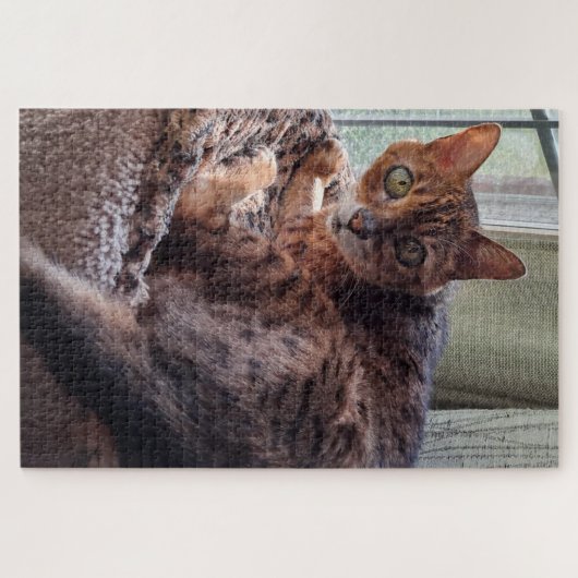 Ansel de Bengal in het raam Legpuzzel (Horizontaal)