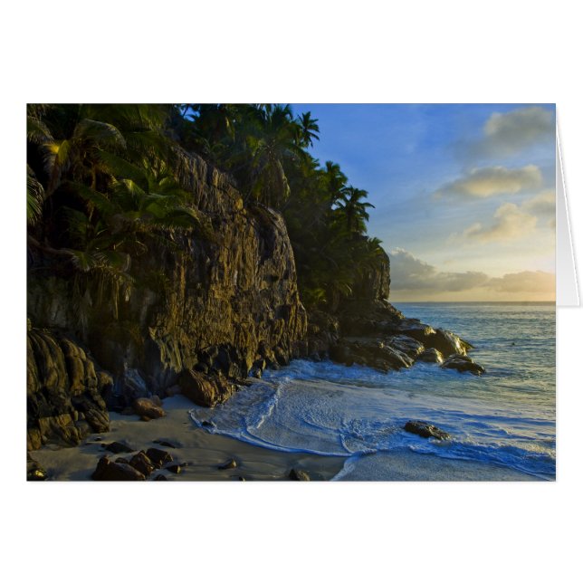 Ansi Victorin Beach 2 (Voorkant Horizontaal)