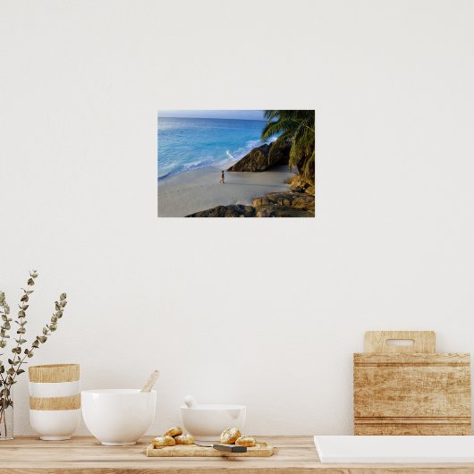 Ansi Victorin Beach, Fregate Island Poster (Keuken)