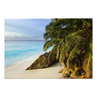 Ansi Victorin-strand