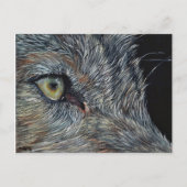 Ansichtdiagram Wolf Briefkaart (Voorkant)