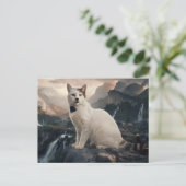 Ansichten Kat Serie 11 07 Briefkaart (Staand voorkant)