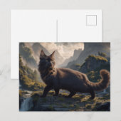 Ansichten Kat Serie 11 16 Briefkaart (Voorkant / Achterkant)