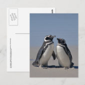 Ansichtkaart aan het strand briefkaart (Voorkant / Achterkant)