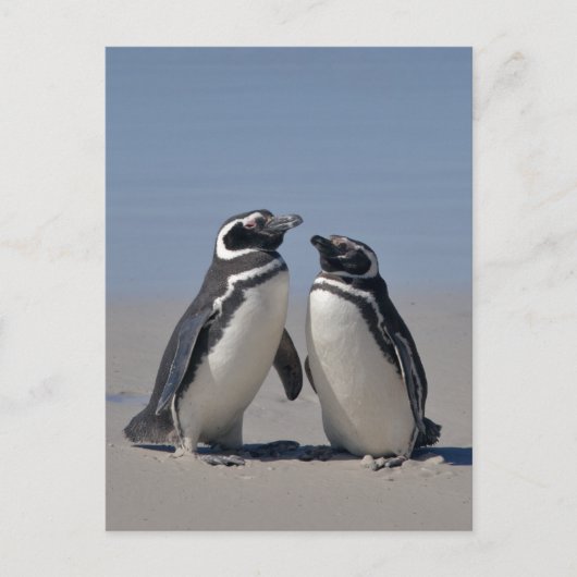 Ansichtkaart aan het strand briefkaart (Voorkant)