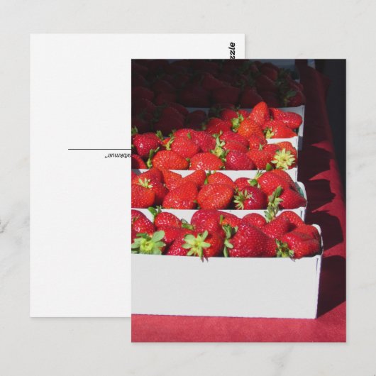 Ansichtkaart - Aardbeimandjes (vrt) Briefkaart (Voorkant / Achterkant)