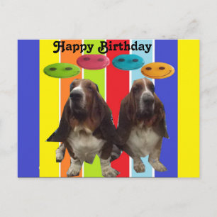 Ansichtkaart Baby Gefeliciteerd Basset Hounds Rege Briefkaart