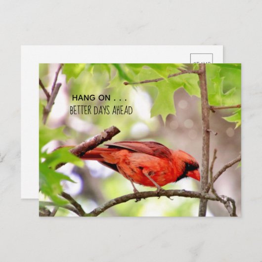 Ansichtkaart Betere Tijden Komen Briefkaart (Voorkant / Achterkant)