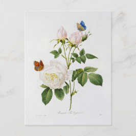 Ansichtkaart Bloemen 18 Briefkaart