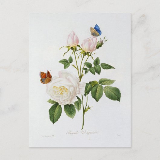 Ansichtkaart Bloemen 18 Briefkaart (Voorkant)