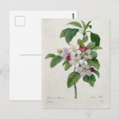 Ansichtkaart Bloemen 19 Briefkaart (Voorkant / Achterkant)