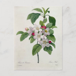 Ansichtkaart Bloemen 19 Briefkaart