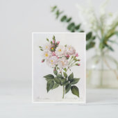 Ansichtkaart Bloemen 6 Briefkaart (Staand voorkant)